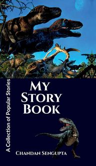 Produktbild: My Story Book