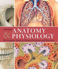 Bild vom Artikel Pckt Anatomy & Physiology vom Autor Ken Ashwell