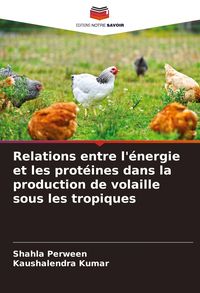 Produktbild: Relations entre l'&eacute;nergie et les prot&eacute;ines dans la production de volaille sous les tropiques