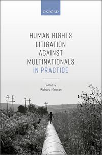 Produktbild: Human Rights Litigation against Multinationals in Practice