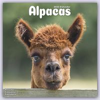 Produktbild: Alpacas &ndash; Alpakas 2023 &ndash; 16-Monatskalender