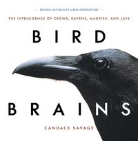 Produktbild: Bird Brains New /e