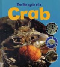 Produktbild: Life Cycle of a Crab