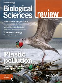 Produktbild: Biological Sciences Review Magazine Volume 31, 2018/19 Issue 4