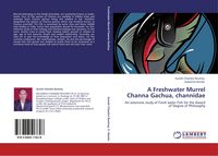 Produktbild: A Freshwater Murrel Channa Gachua, channidae