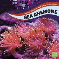Produktbild: Sea Anemones