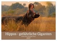 Produktbild: Hippos - Gef&auml;hrliche Giganten (Wandkalender 2027 DIN A2 quer), CALVENDO Monatskalender