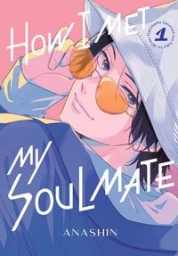 Produktbild: How I Met My Soulmate 1