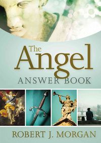 Produktbild: The Angel Answer Book