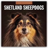 Produktbild: Shetland Sheepdogs &ndash; Sheltie 2026 &ndash; 16-Monatskalender