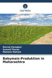 Produktbild: Babymais-Produktion in Maharashtra