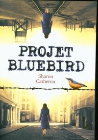 Produktbild: Projet bluebird