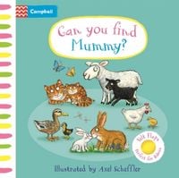 Produktbild: Can You Find Mummy?