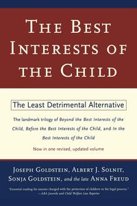 Produktbild: The Best Interests of the Child