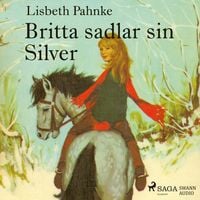 Produktbild: Britta sadlar sin Silver