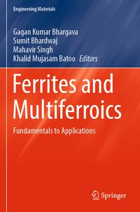 Produktbild: Ferrites and Multiferroics