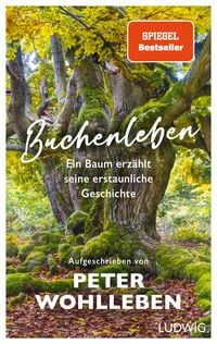 Produktbild: Buchenleben