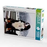 Produktbild: CALVENDO Puzzle Ein Motiv aus dem Kalender B&Auml;R - Der Berner Sennenhund | 1000 Teile Lege-Gr&ouml;&szlig;e 64x48cm Foto-Puzzle f&uuml;r gl&uuml;ckliche Stunden