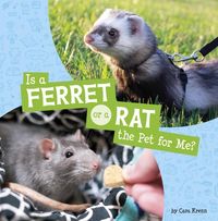 Produktbild: Is a Ferret or a Rat the Pet for Me?