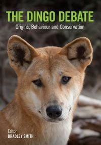 Produktbild: The Dingo Debate