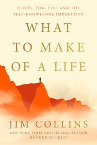 Produktbild: What to Make of a Life