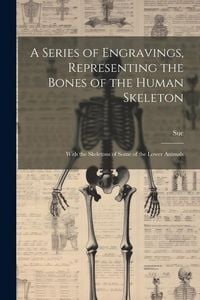 Produktbild: A Series of Engravings, Representing the Bones of the Human Skeleton