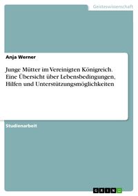 Produktbild: Junge M&uuml;tter im Vereinigten K&ouml;nigreich. Eine &Uuml;bersicht &uuml;ber Lebensbedingungen, Hilfen und Unterst&uuml;tzungsm&ouml;glichkeiten