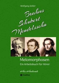 Produktbild: Brahms, Schubert, Mendelssohn: Melomorphosen - Fr&uuml;chte der Musikmeditation, sichtbar gemachte Informationsmatrix ausgew&auml;hlter Musikst&uuml;cke, Gestaltwerk