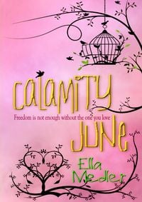 Produktbild: Calamity June