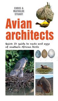 Produktbild: Quick ID Guide - Avian Architects