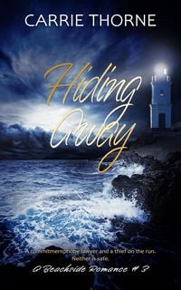 Produktbild: Hiding Away (A Beachside Romance, #3)