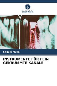 Produktbild: Instrumente f&uuml;r Fein Gekr&uuml;mmte Kan&auml;le