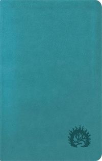 Produktbild: ESV Reformation Study Bible, Condensed Edition - Turquoise, Leather-Like