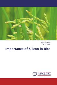 Produktbild: Importance of Silicon in Rice