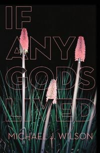 Produktbild: If Any Gods Lived