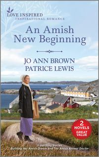 Produktbild: An Amish New Beginning