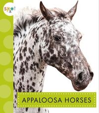 Produktbild: Appaloosa Horses