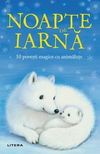 Produktbild: Noapte De Iarna