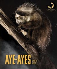 Produktbild: Aye-Ayes