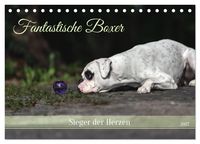 Produktbild: Fantastische Boxer - Sieger der Herzen (Tischkalender 2027 DIN A5 quer), CALVENDO Monatskalender
