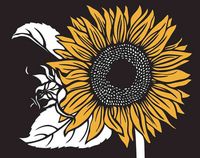 Produktbild: Bloom Eco-Notecards