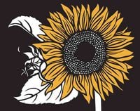 Produktbild: McClure, N: Bloom Eco-notecards