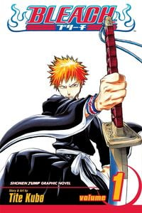 8+ Bleach Box Set 2