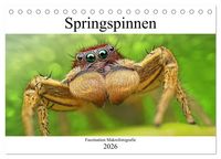 Produktbild: Faszination Makrofotografie: Springspinnen (Tischkalender 2026 DIN A5 quer), CALVENDO Monatskalender