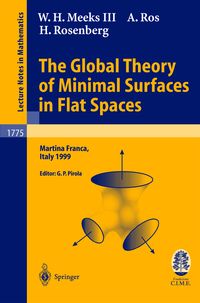 Produktbild: The Global Theory of Minimal Surfaces in Flat Spaces