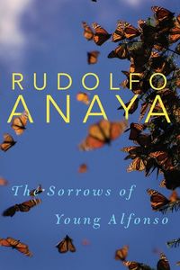 Produktbild: Sorrows of Young Alfonso