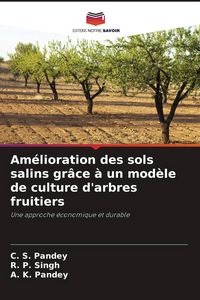 Produktbild: Am&eacute;lioration des sols salins gr&acirc;ce &agrave; un mod&egrave;le de culture d'arbres fruitiers