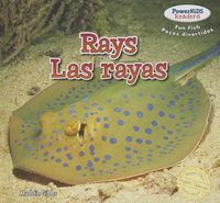 Produktbild: Rays / Las Rayas