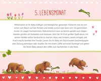 Wickeltischkalender - BabyBär - Dein erstes Jahr