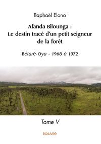 Produktbild: Afanda bilounga: le destin trace